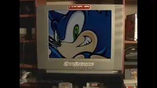 Sonic Adventure Dreamcast/DX Anti-Piracy Screen