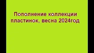 Обзор весеннего пополнения коллекции. 2024г