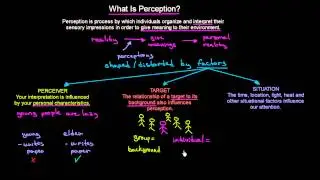 What is Perception | Organisational Behavior | MeanThat