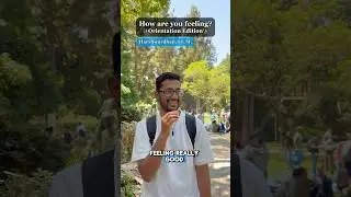 Orientation feels 🤩#FirstDayOfSchool #Law #College #Lawyer #Shorts #Orientation #UCLA #LawSchool