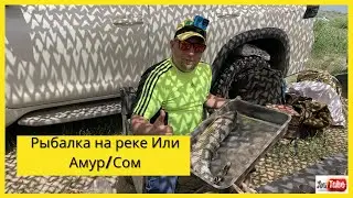 Рыбалка на реке Или/ Коктал июнь 2021/ Сом/ Амур/ Карась/ Часть1