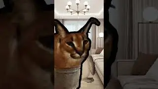 зрителям не пох*й на меня бл*ть!!!