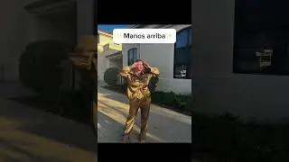 #modelplus