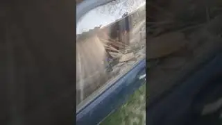 Первый запуск после замены ГБЦ.