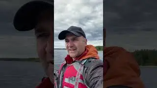 28 июня 2024 г.