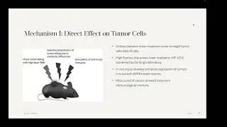 Bibhus Luitel: "A Review of Near Infrared PhotoBioNeuromodulation for Oncological Treatment"