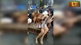 LIKE A BOSS compilation / HOT MOMENT WITH ANIMAL 2019 February +18