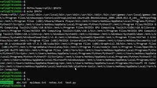 2 - Shell Variables and Aliases - Linux Course