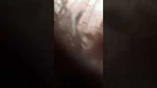 Super satisfying (worlds smallest violin)￼