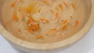 Resin Fish Painting Tutorial Day 8