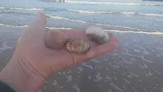 В гостях у дочери . Утренняя прогулка вдоль моря.