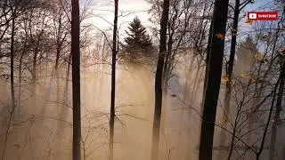 Enchanted Foggy Forest Nature White Noise Sound I for Relaxation Meditation Sleeping and Study