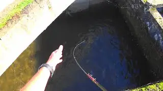 Adesso parlo io...
