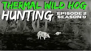 Thermal Wild Hog Hunting at the Cape Fear River Ep2 S9