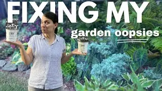 Small space? No problem— here’s what I love adding to a full garden bed for winter interest