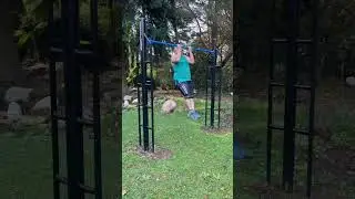 Chin ups