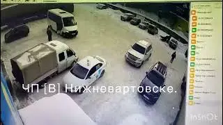 В Нижневартовске пони попал в аварию
