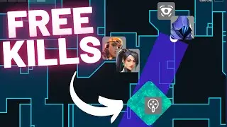 Your Ultimate Split Premier Guide!