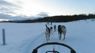 Chi Filming Alan Driving Sled