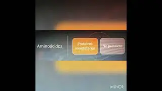 introducción biomoléculas