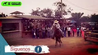Peruano de paso 