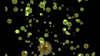 Жёлтые ромашки   koreckolga
