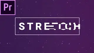 How To Use Motion Array's Stretch Plugin for Premiere Pro