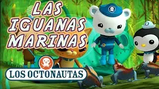 Los Octonautas Oficial en Español - Las Iguanas Marinas | Episodio 41