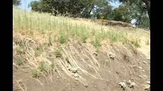 Folsom Valley Railway, video 4, 6k