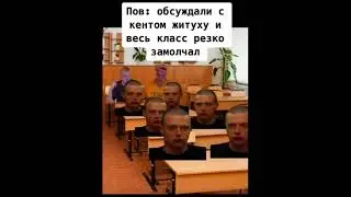 Меллстрой мемы