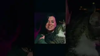 Вторая Вселенская Сходка!