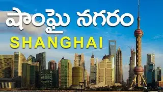 Shanghai city tour in Telugu | Travel Telangana