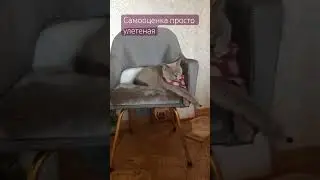 Запредельная самооценка