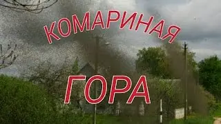 GEOCACHING.Путешествие на комариную гору