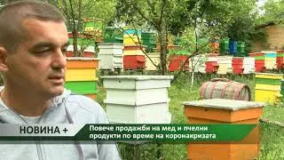 Новина плюс: Повече продажби на мед и пчелни продукти по време на коронакризата, автор: Ана Минева