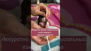 Справляемся с запором у щенка