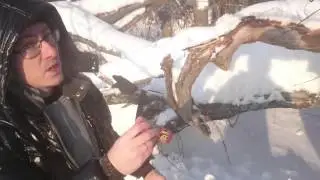 Громко, четко. Корсар 4