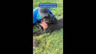 Watch shy Joel come out his shell! #Dogs #AnimalLovers