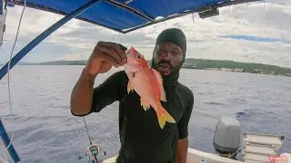The Red Snappers Are Giving The Hooks A Break