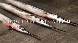 HOW TO FILLET GARFISH