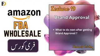 Next Steps After Brand Approval for FBA Wholesale: A Complete Guide