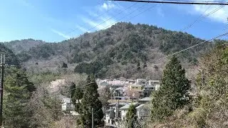 京都府亀岡市畑野町はたの台(春2022)