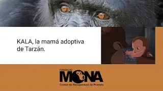 Aprende con MONA: KALA, la mamá adoptiva de Tarzán.