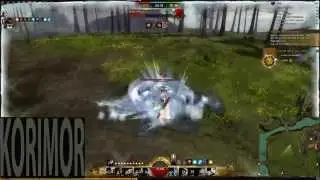 GW2 Thief D/P WvW (Yak's Bend) 4/15/2014