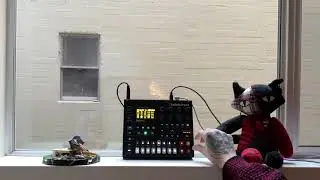 Digitone Sesh // “ Sleep Harmonics “