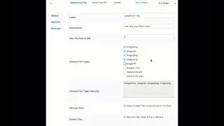 The Ultimative Drag and Drop File Upload Drop Zone for WordPress