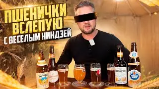 #420: ПШЕНИЧКА ВСЛЕПУЮ. SCHNEIDER WEISSE, AYINGER, ХАМОВНИКИ, ЛЫСКОВСКОЕ.