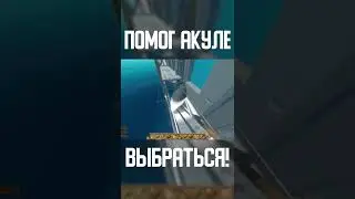ПЫТАЛСЯ ПОМОЧЬ АКУЛЕ ЗАСТРЯВШЕЙ В ТЕКСТУРЕ!? ВЫЖИВАНИЕ В РАФТЕ! 