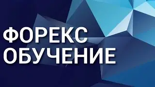 Форекс обучение. Профессиональное Форекс обучение.