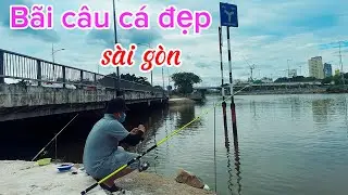 Bãi câu cá tra nhiều anh em cần thủ nên biết | phiêu xứ dừa